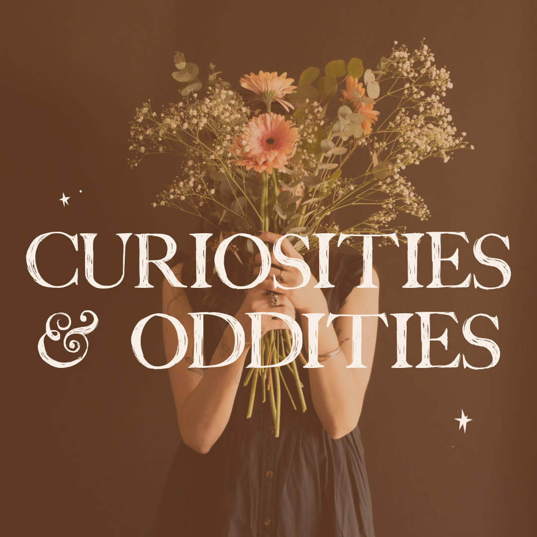 CURIOSITIES & ODDITIES