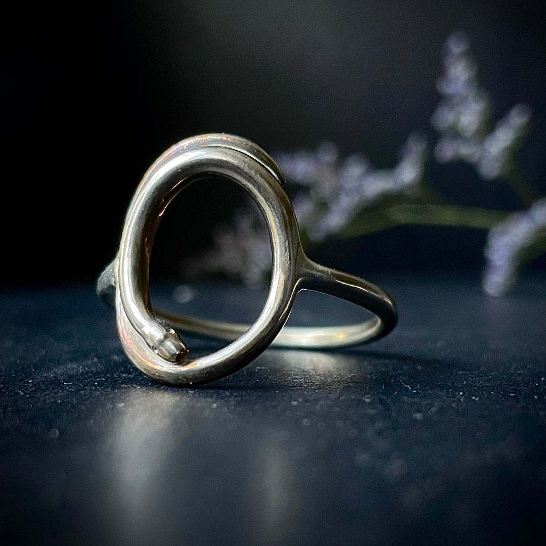 SERPENT SISTERS  ::  Regina Augustine