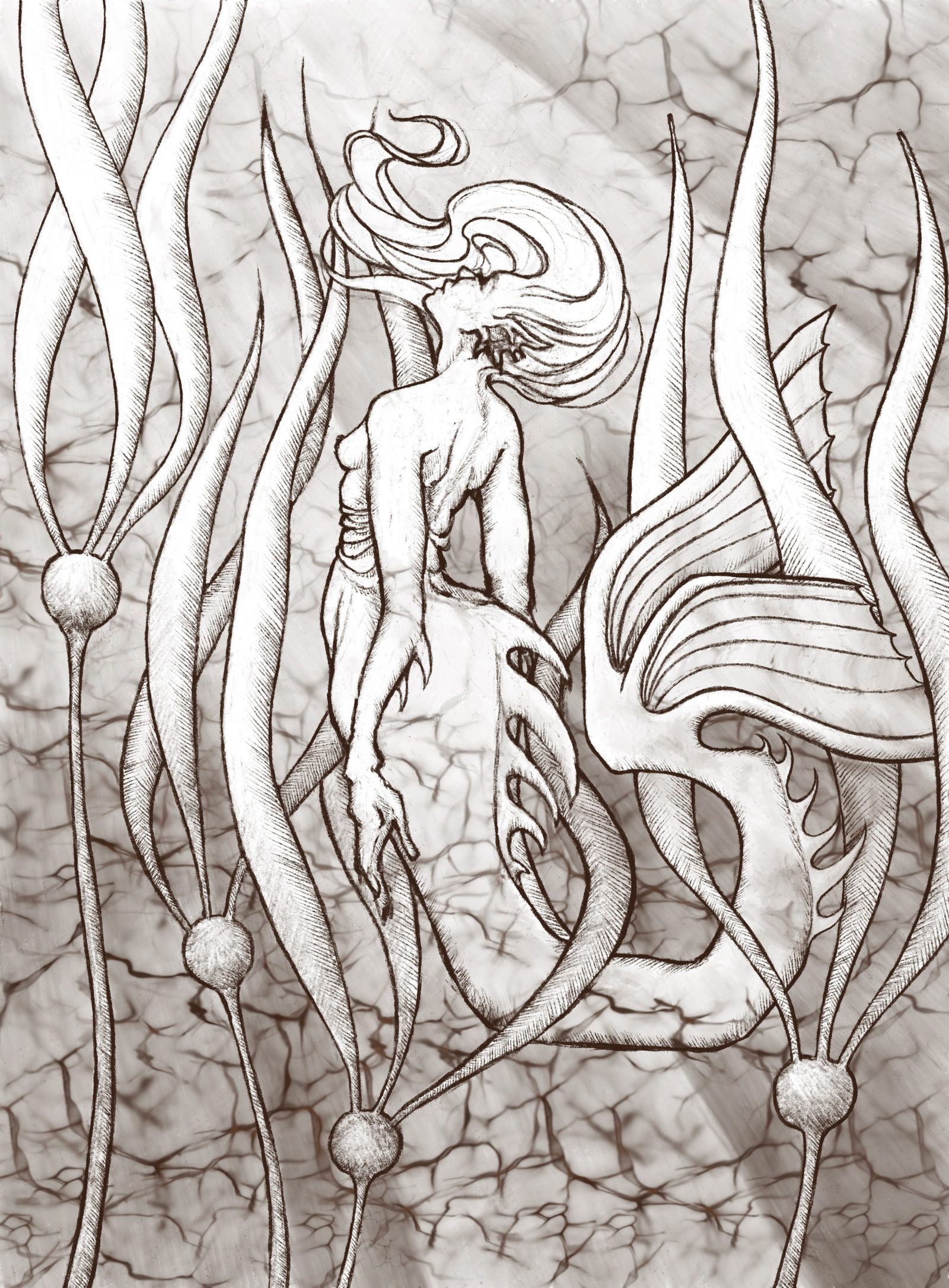 Siren Song Canvas Print